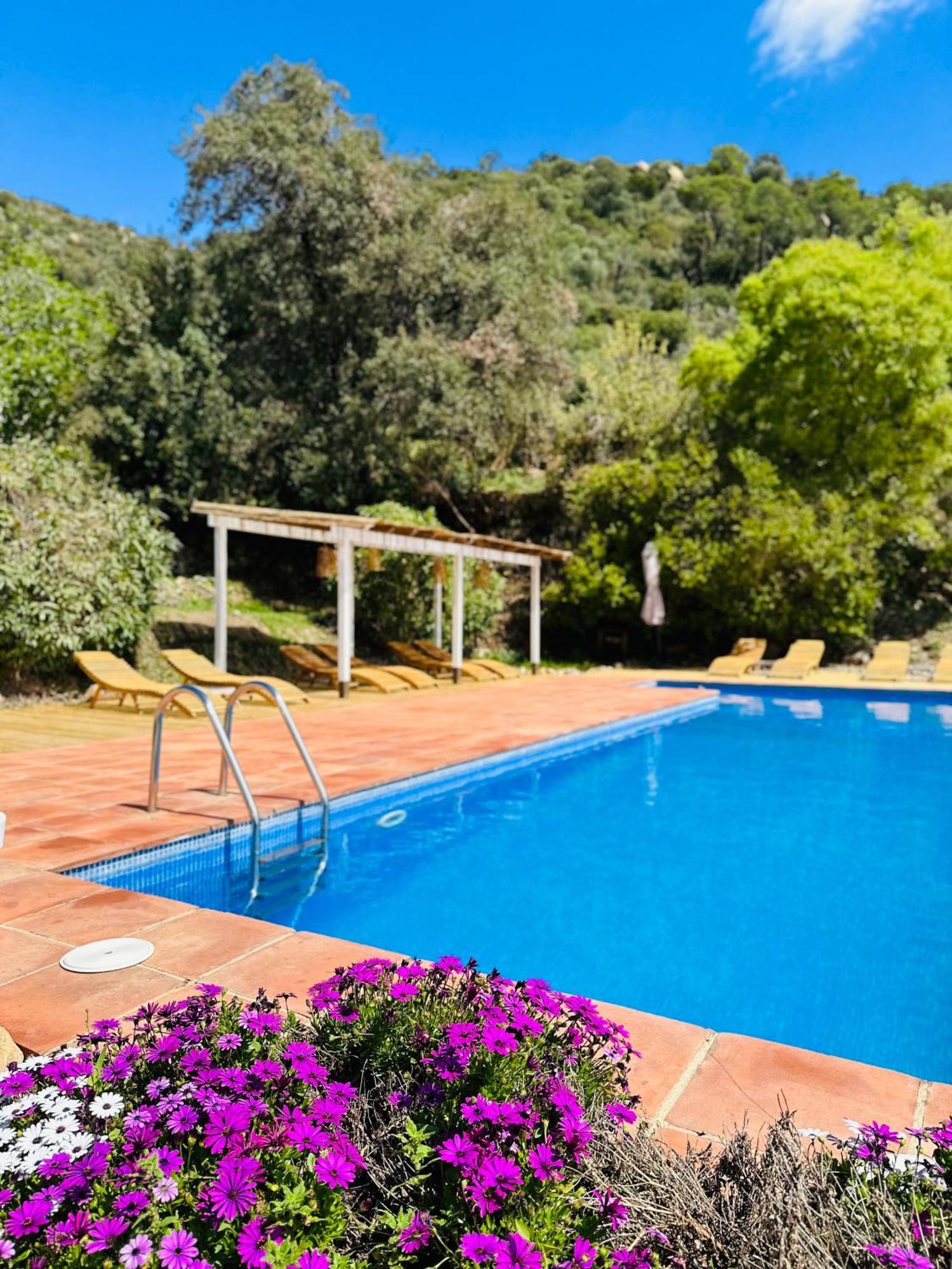 B&B La Vista Brava Platja d'Aro Esterno foto